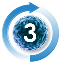 Step 3 Step 3